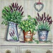 slika sivka shabby