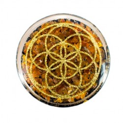 carnelian,black tourmaline,orgonite, orgonite plate, orgonite with crystals