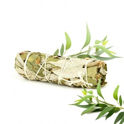 sage for cleansing interior, cleansing crystals