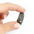 shungite crystal, crystal for protection
