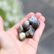 labradorit, labradorit kristal, labradorit žepni kristal, kristal intuicije, kristal za pomiritev čustev