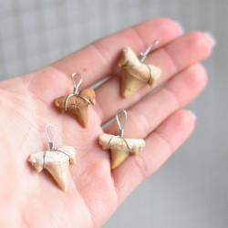 shark tooth necklace pendant, unique jewerly, gift idea