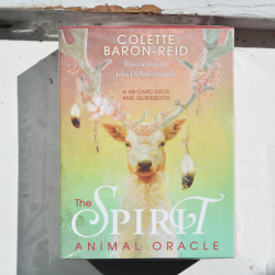 the animal spirit orakeljske karte, živali, duh živali