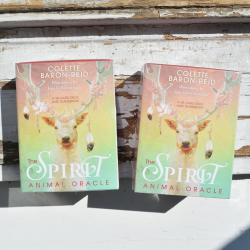 the animal spirit ugodna cena, orakeljske karte