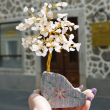 feng shui drevo, ugodna cena, dekoracija za dom, trgovina s kristali, roževec kristali