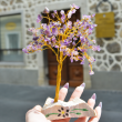 ametist drevo, feng shui drevo, ugodna cena, dekoracija za dom, trgovina s kristali