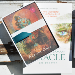 Orakeljske karte Mystical Shaman, Alberto Villoldo, Colette Baron-Reid, Marcela Lobos, tarot karte, mistični šaman
