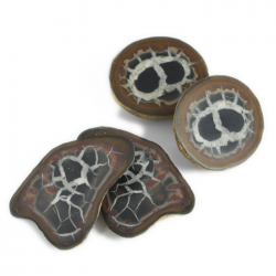 septarian geoda, komplet, fosil, zmajev kamen