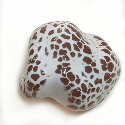 ahat kačja koža, kačji ahat, žepni kristal, kristal proti nespečnosti,kristal za notranjo moč