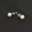 silver earrings