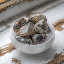 srebrnolistni jaspis, jaspis, srebrno listni jaspis kristal, jaspis kamen, kristal za moč, kristal za energijo