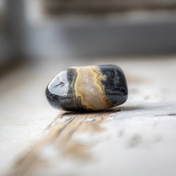 srebrnolistni jaspis, jaspis, srebrno listni jaspis kristal, jaspis kamen, kristal za moč, kristal za energijo