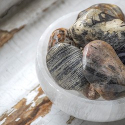 srebrno listni jaspis, jaspis, srebrno listni jaspis kristal, jaspis kamen, kristal za moč, kristal za energijo