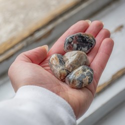 srebrnolistni jaspis, jaspis, srebrno listni jaspis kristal, jaspis kamen, kristal za moč, kristal za energijo