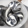 jaspis, shell jaspis, školjkasti jaspis, žepni kristal, kristali za moč, kristali za energijo, jaspis vrste