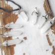 clear quartz, clear quartz jewellery, clear quartz necklace, protection crystal, cleansing crystal
