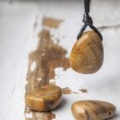 petrified wood, petrified wood crystal, crystal necklace, meditation crystal, energy jewellery