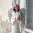 GUARDIAN ANGEL heart