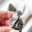 Elite shungite