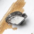 Elite shungite