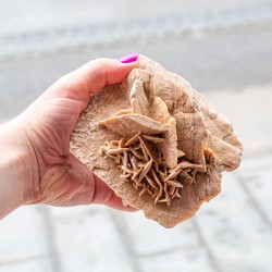 desert rose, sand rose, selenite rose, desert flower, sand flower, selenite