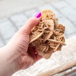 desert rose, sand rose, selenite rose, desert flower, sand flower, selenite