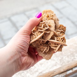 desert rose, sand rose, selenite rose, desert flower, sand flower, selenite