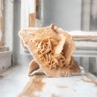 desert rose, sand rose, selenite rose, desert flower, sand flower, selenite