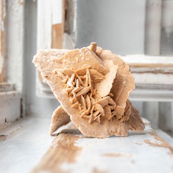 desert rose, sand rose, selenite rose, desert flower, sand flower, selenite