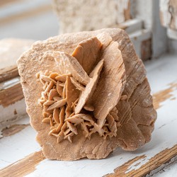 desert rose, sand rose, selenite rose, desert flower, sand flower, selenite