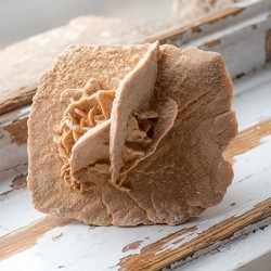 desert rose, sand rose, selenite rose, desert flower, sand flower, selenite