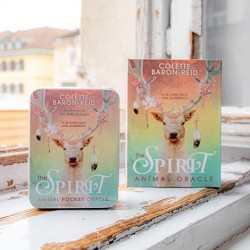 the animal spirit, duh živali, orakeljske karte, vedeževanje, ezoterika, trgovina s kristali