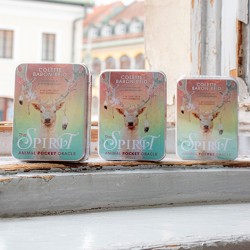 the animal spirit, duh živali, orakeljske karte, vedeževanje, ezoterika, trgovina s kristali