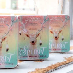 the animal spirit, duh živali, orakeljske karte, vedeževanje, ezoterika, trgovina s kristali