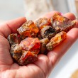 amber, amber raw, amber unpolished, amber rough, Indonesian amber