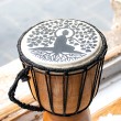 DJEMBE shamanic drum