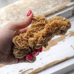 puščavska roža večji kos peščena roža, mavčna roža, selenitna vrtnica, puščavska roža večji kos, selenit