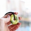 SERPENTINE donut pendant