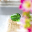 GREEN OBSIDIAN (VOLCANIC GLASS) pocket crystal