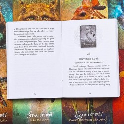 Orakeljske karte The Animal Spirit