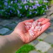 ROSE QUARTZ rough crystal 1kg