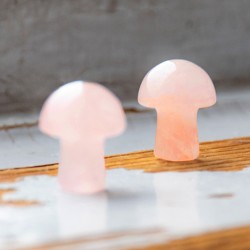 ROŽEVEC goba mini kristal za ljubezen