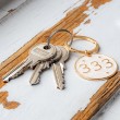 ANGELSKO ŠTEVILO 333 obesek za ključe