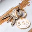 ANGELSKO ŠTEVILO 555 obesek za ključe