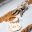 pomen števila 666
angelska številka 666