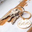 pomen števila 666
angelska številka 666 pozitiven pomen 666 simbolika in pomen števila 666