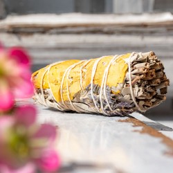 beli žajbelj za energijsko čiščenje, beli žajbelj za čiščenje prostora, kadilo beli žajbelj za duhovno zdravljenje