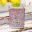 ORACE CARDS ROSE (pocket size)