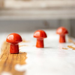 rdeči jaspis, naravni reeči jaspis, rdeči jaspis kamen goba iz kristalov