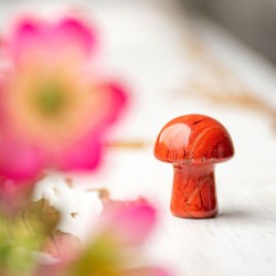 rdeči jaspis, naravni reeči jaspis, rdeči jaspis kamen goba iz kristalov